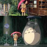 在台北小巷遇到了龍貓車站☂️溫馨老宅咖啡