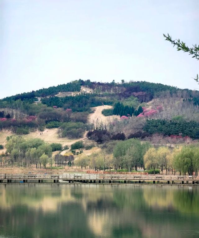 牟山濕地公園：大自然嘅詩意篇章