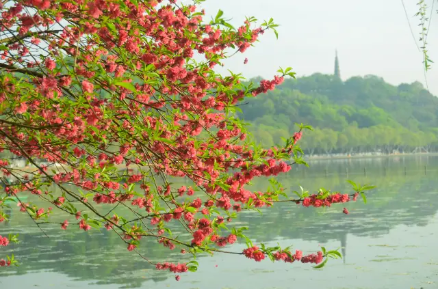 杭州人早上愛去的地方（內有攻略）