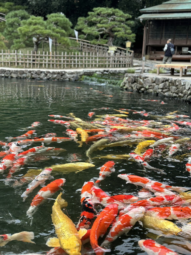 Ritsurin Garden