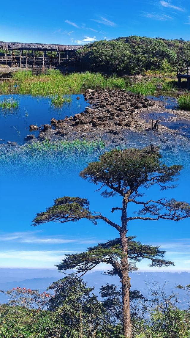 華南之巔貓兒山：山水間的生態傳奇