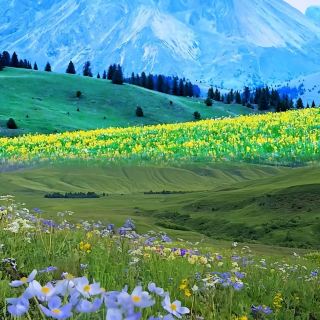 Litang Travel Guide