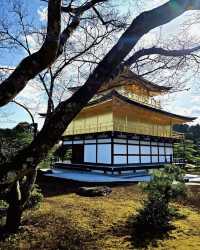 京都經典全景一日遊，輕鬆暢玩推薦攻略