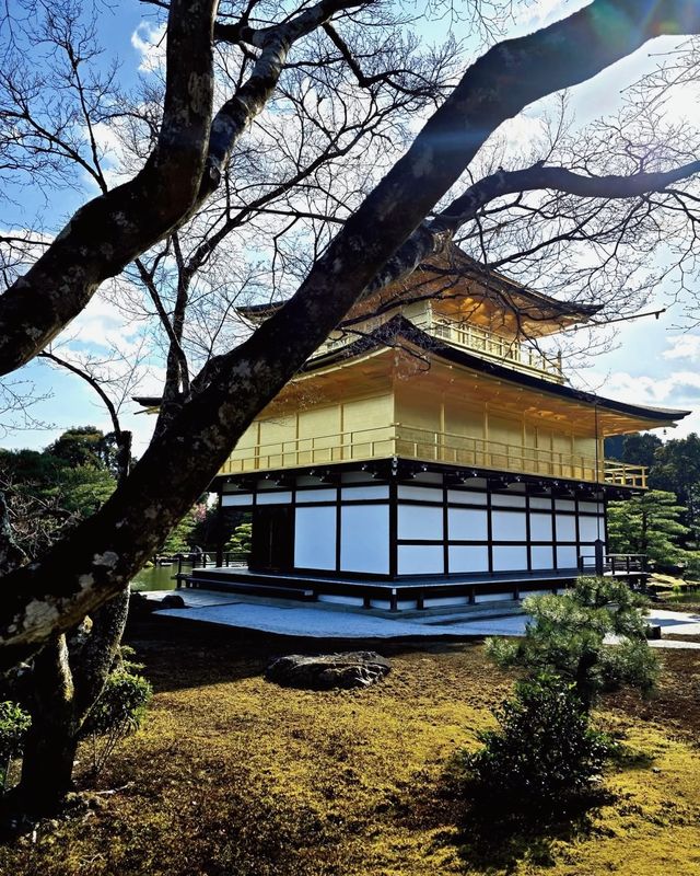 京都經典全景一日遊，輕鬆暢玩推薦攻略