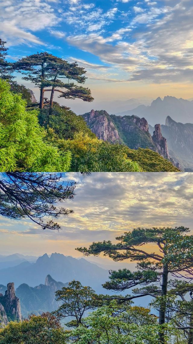 雲端仙境×奇峰秘境99%的人不知道的天然氧吧！