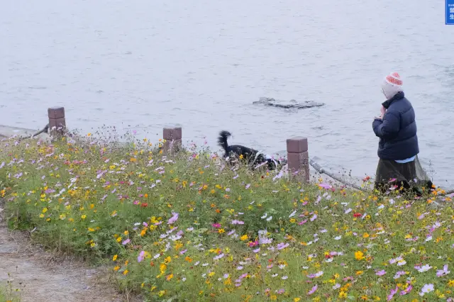 Shanghai Self-Drive｜One-Day No-Turnback Route at Dianshan Lake (Tested)