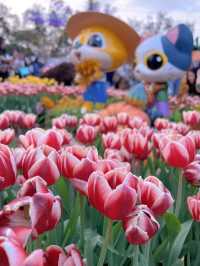 🌺 維多利亞公園花卉展：悠閒賞花的好去處