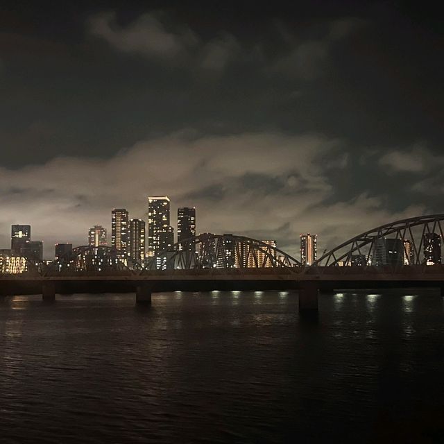 坐在中之島公園聽到魚躍出水面的聲音