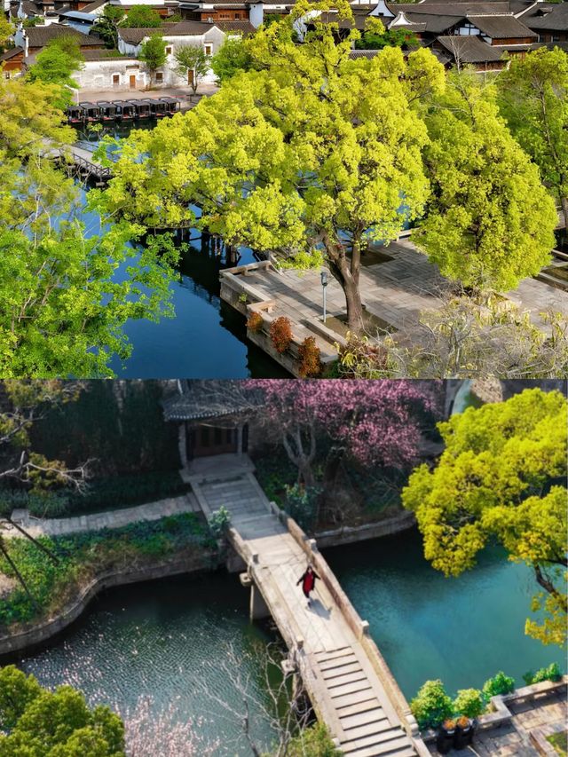 五一去邊 | 來一場說走就走的觀潮之旅吧
