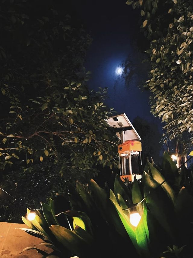 暑假就要盡情玩水呀
