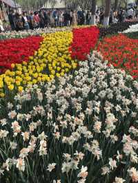 Luboyuan Nanjing: a mini Netherlands to see tulip 🌷