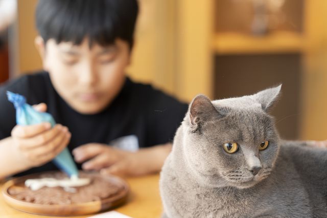 當毛孩加入到我哋嘅假期