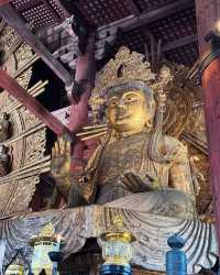 京都＆奈良＆宇治攻略，穿越關西3大名城。