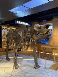Taiwan Museum Taipei, A Cheap Yet Fascinating Place For The Whole Family 