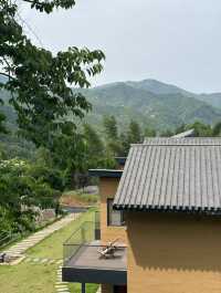 從長沙出發1.5小時到瀏陽新開嘅「雲野有楓」！