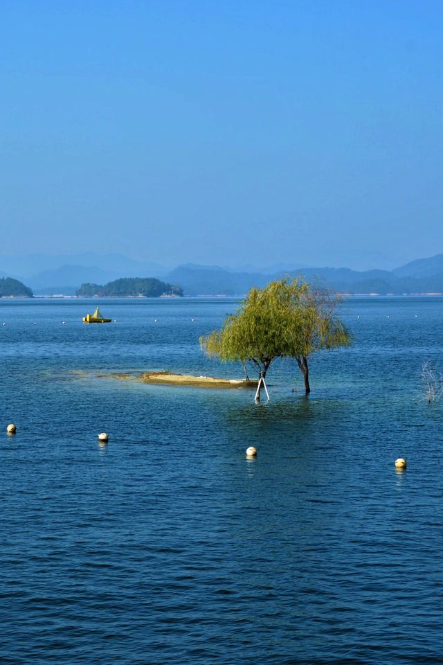 救命！千島湖呢間神仙度假村畀我搵到啦！