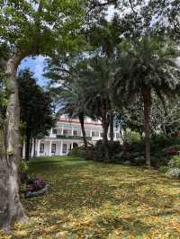 Hong Kong Park, A Stunning Garden Surrounded By Colossal Hong Kong  