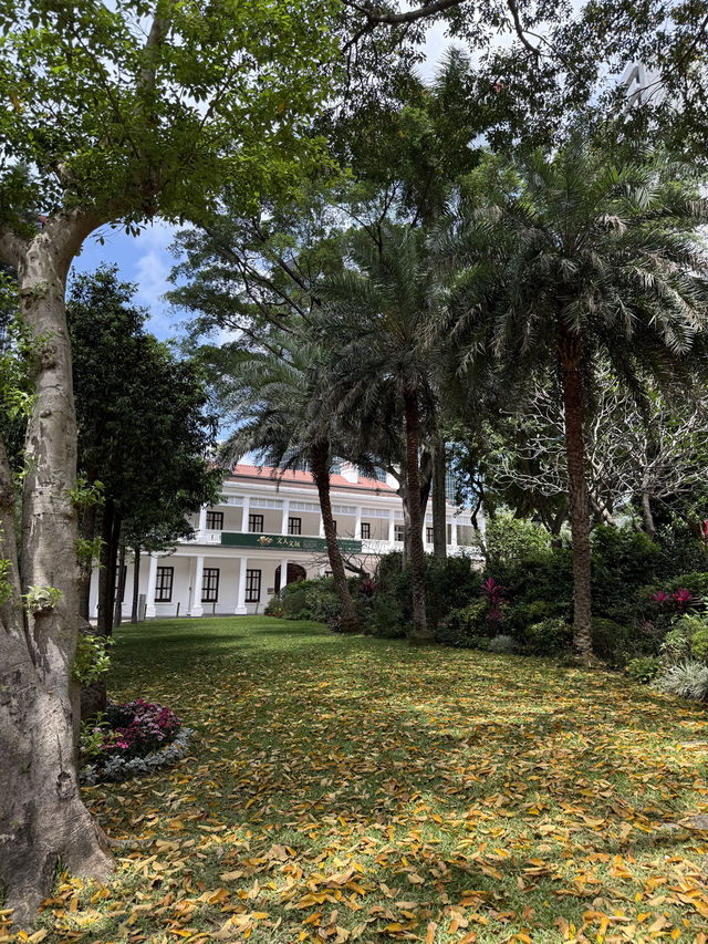 Hong Kong Park, A Stunning Garden Surrounded By Colossal Hong Kong  