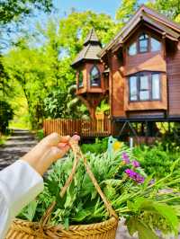 喺神農架住進童話森林木屋，靚到喊咗出嚟