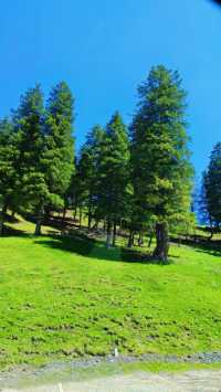 《新疆天山托木爾景區大峽谷，你唔嚟睇下？》
