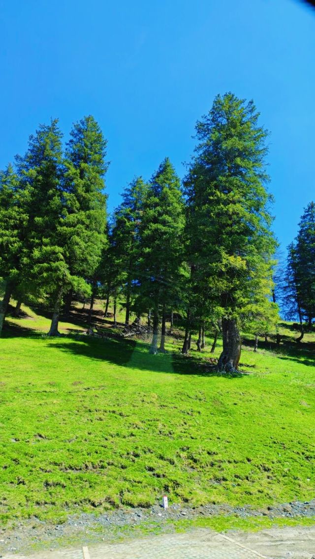 《新疆天山托木爾景區大峽谷，你唔嚟睇下？》