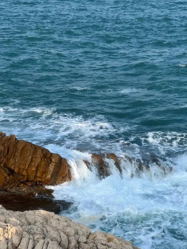 Green Egg Island Kayaking Adventure | Explore the Jelly Sea for $150 per person