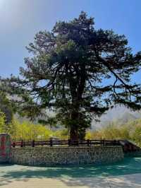 翠華山·秦嶺終南山世界地質公園
