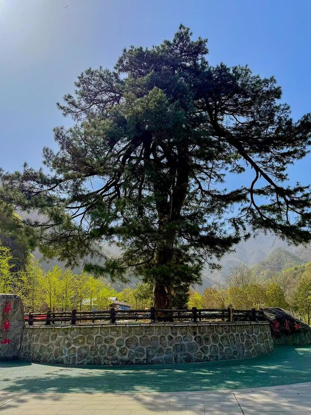 翠華山·秦嶺終南山世界地質公園