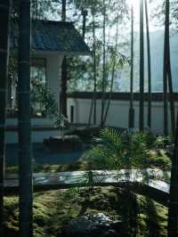 住進萬畝茶山，在竹林小院做一日閒散茶人