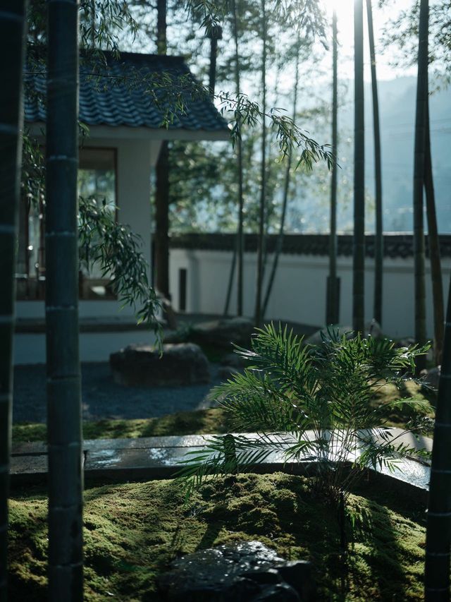 住進萬畝茶山，在竹林小院做一日閒散茶人