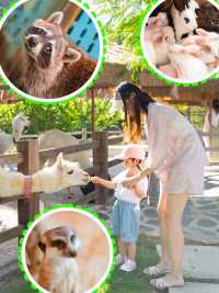 今個夏天嚟加勒比海避暑！珠海水上樂園開幕啦