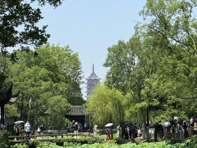 蘇杭四天三晚只需600+的旅行