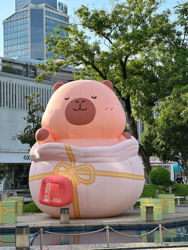 天一廣場嘅店舖門面，放喺全寧波，都係資優生！