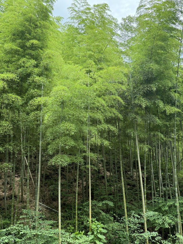 Travel Journal: A Day in Changshu 🏞️