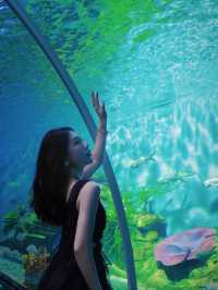 泉州歐樂堡旅遊超浪漫，情侶出遊，我都要做個公主