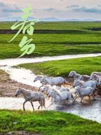 春分｜錫林郭勒的春天每一幀都美到犯規！