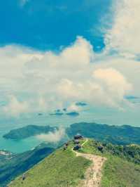 鳳凰徑上的雲端邂逅——香港行山者的天堂之旅