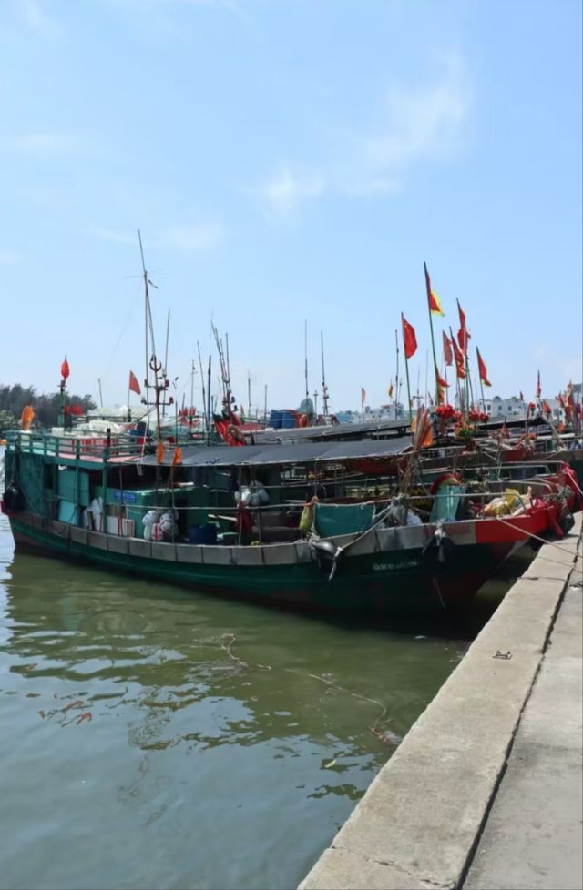 瓊海·潭門跨越時空，邂逅千年漁港之美  
瓊海潭門鎮，與博鰲一水相鄰，最著名的莫過於這裡剛捕撈上岸