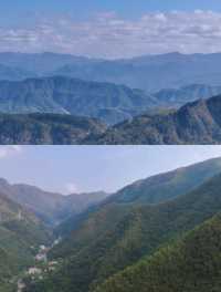 住進山林，感受幾番喜悅