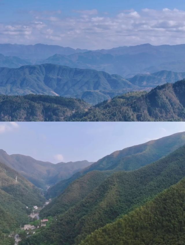 住進山林，感受幾番喜悅