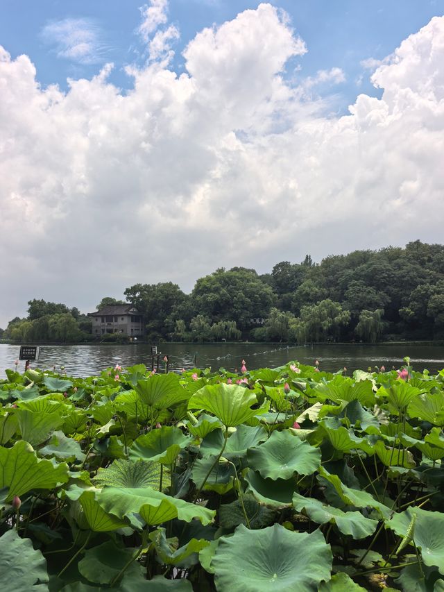 暴雨之後出太陽，西湖嘅雲好唔真實