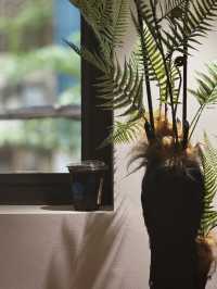 日光隨機灑落窗外老屋綠植之間，如夢境般奇幻。