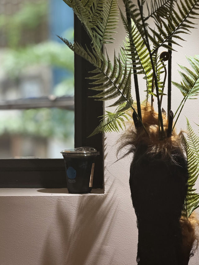 日光隨機灑落窗外老屋綠植之間，如夢境般奇幻。