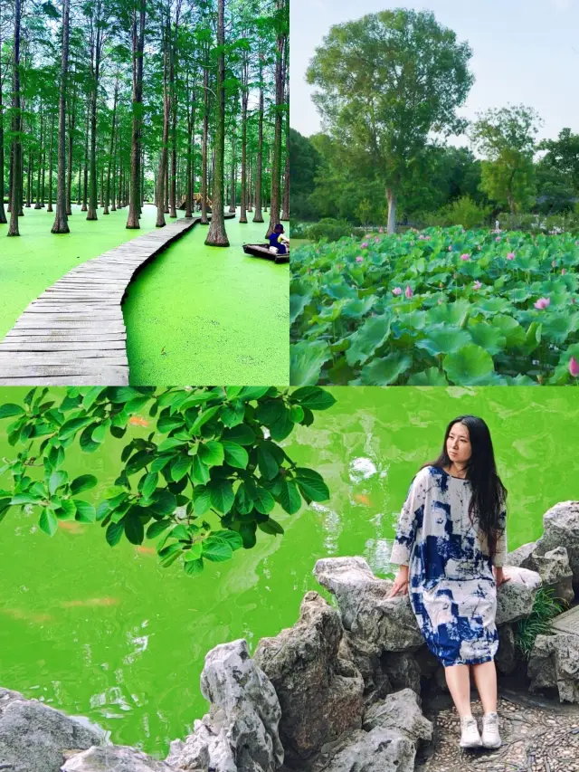 A waist wrapped with a hundred thousand strings of coins, riding a crane to Yangzhou.