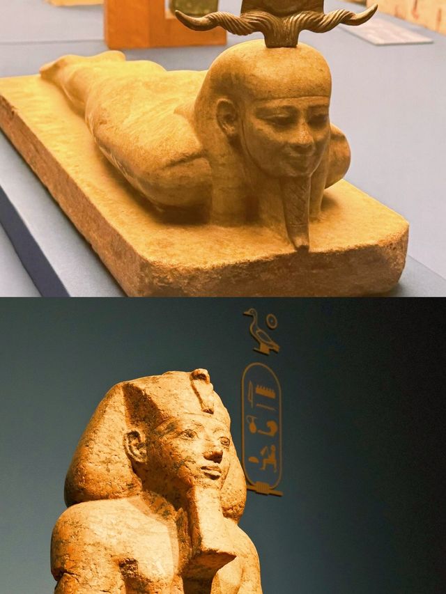 上海博物館衝呀，再唔嚟睇埃及展就要出國先有得睇