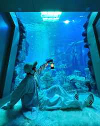 28℃避暑天堂！舟山長喬海洋館2日1夜全攻略