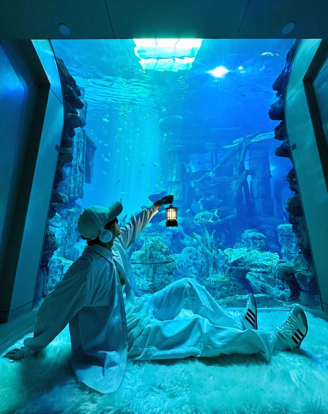 28℃避暑天堂！舟山長喬海洋館2日1夜全攻略