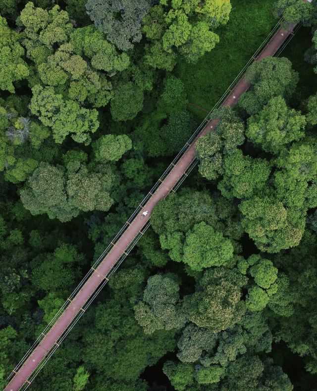 雲南人骨子裡的浪漫| 愛心步道