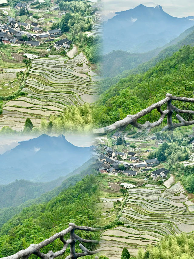 河南人必睇！躲進麗水25℃天然冷氣房，呢份避暑攻略收好！