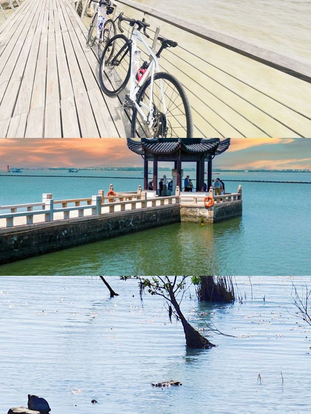 蘇州太湖裸新隱鄉，親子夏日玩水嘅超正之選